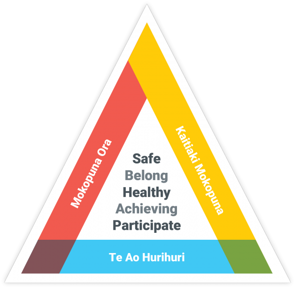 Infographic showing the three main things when assessing the wellbeing of a child