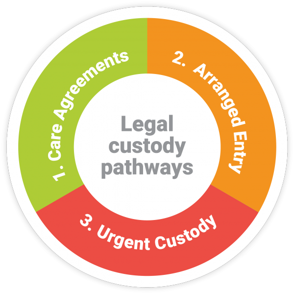 Legal custody pathways infographic