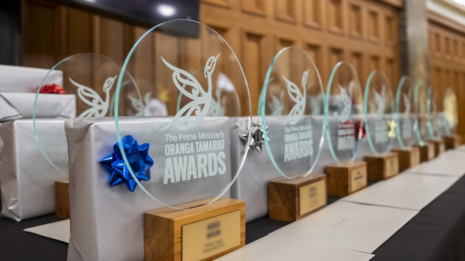 Image of the awards sitting on a table